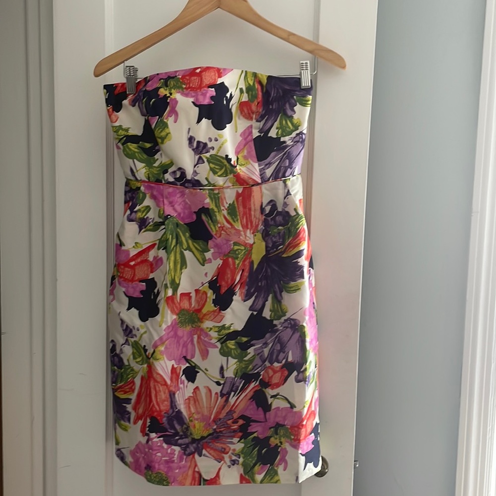 JCrew Dress